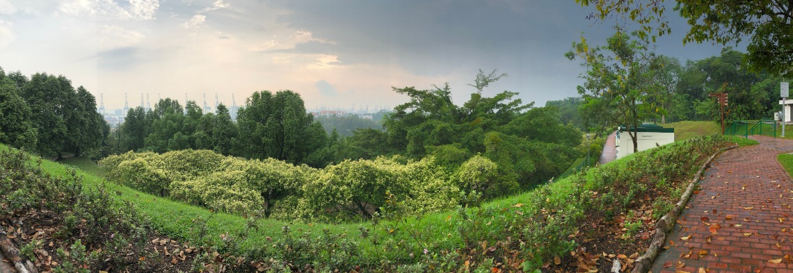 A panoramic view of Kent Ridge Park